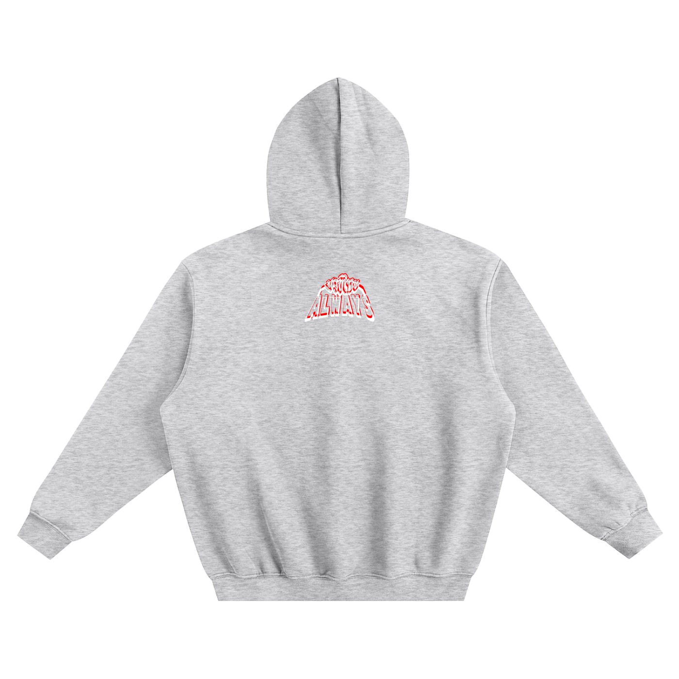 Always Twins Tigers Fleeced Boxy Hoodie