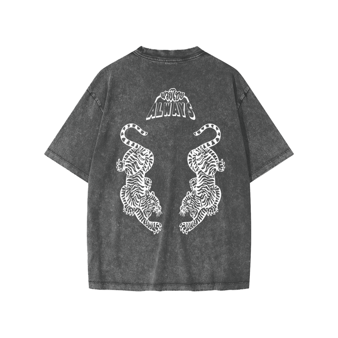 Twin Tigers Snow Washed Kids' T-Shirt