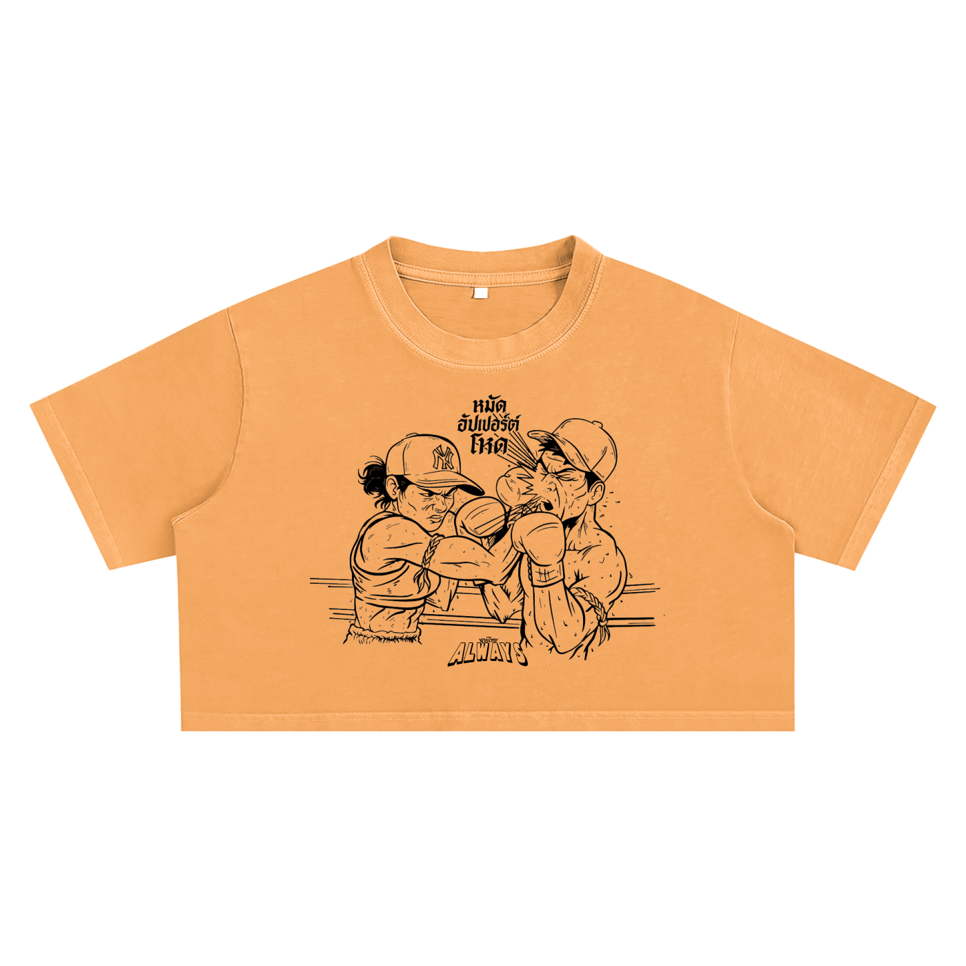 Mean Uppercut Snow Washed Crop Top