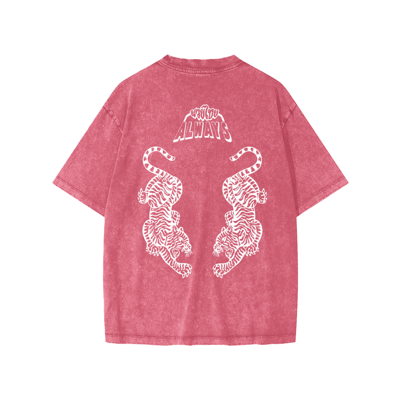 Twin Tigers Snow Washed Kids' T-Shirt