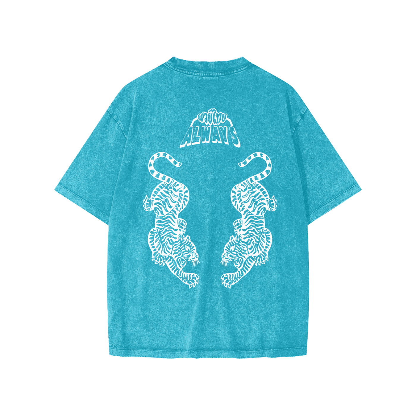 Twin Tigers Snow Washed Kids' T-Shirt