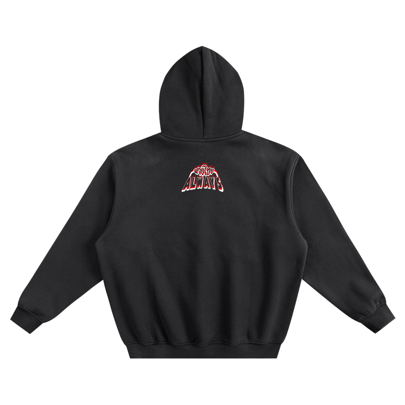 Always Twins Tigers Fleeced Boxy Hoodie